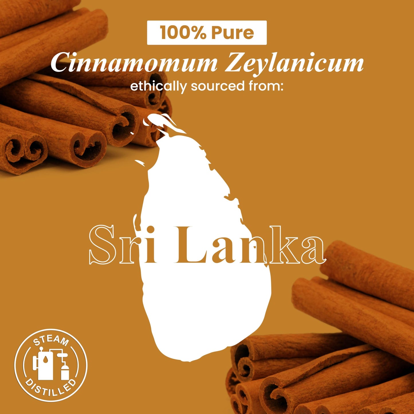 Handcraft Blends Cinnamon Essential Oil – 1 Fl Oz – 100% Pure & Natural