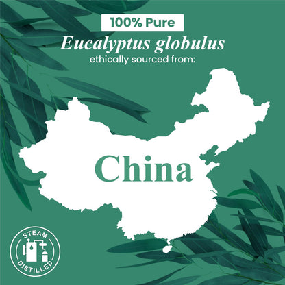 Handcraft Blends Eucalyptus Essential Oil - 4 Fl Oz - Pure & Natural