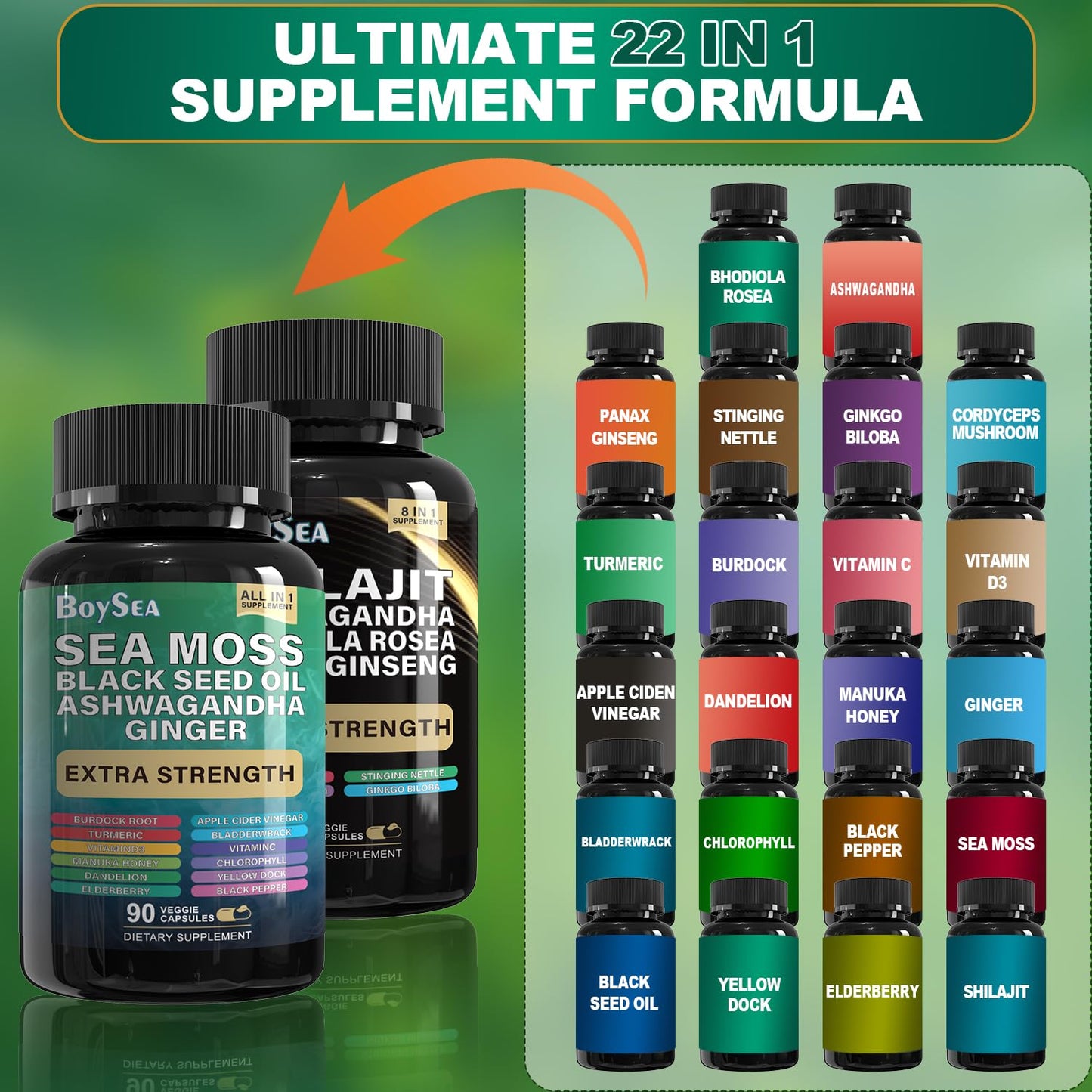 Boysea Shilajit & Sea Moss Bundle - 90 Count - All-in-1 Supplements