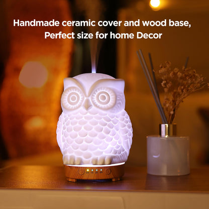 Owl Ceramic Aromatherapy Diffuser 160ml – INRORANS Ultrasonic Stone Owl Night Light