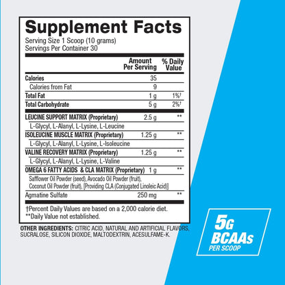 BPI Best BCAA Powder – Muscle Recovery & Hydration | Fruit Punch, 30 Servings
