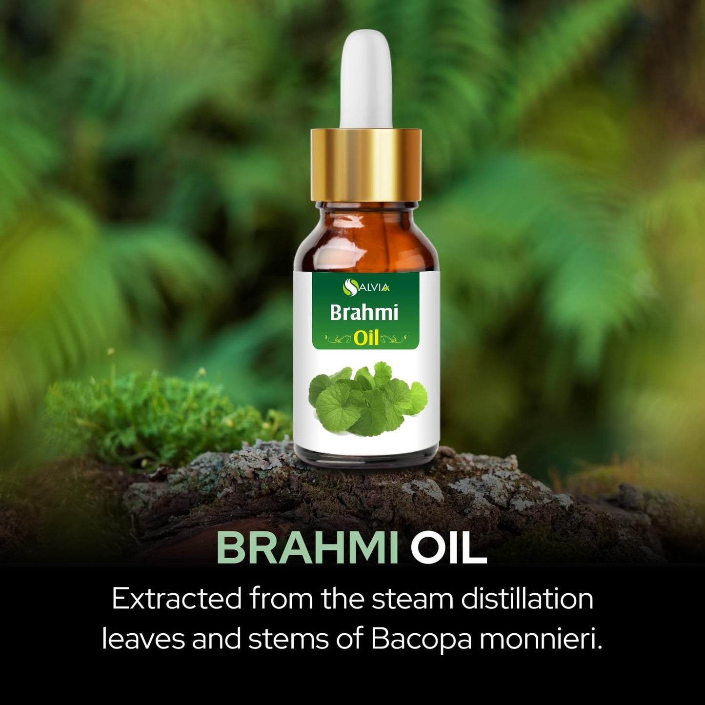 Brahmi (Piper Nigrum) Essential Oil - Pure & Natural, Undiluted - 30 ML | Aromatherapy & Massage