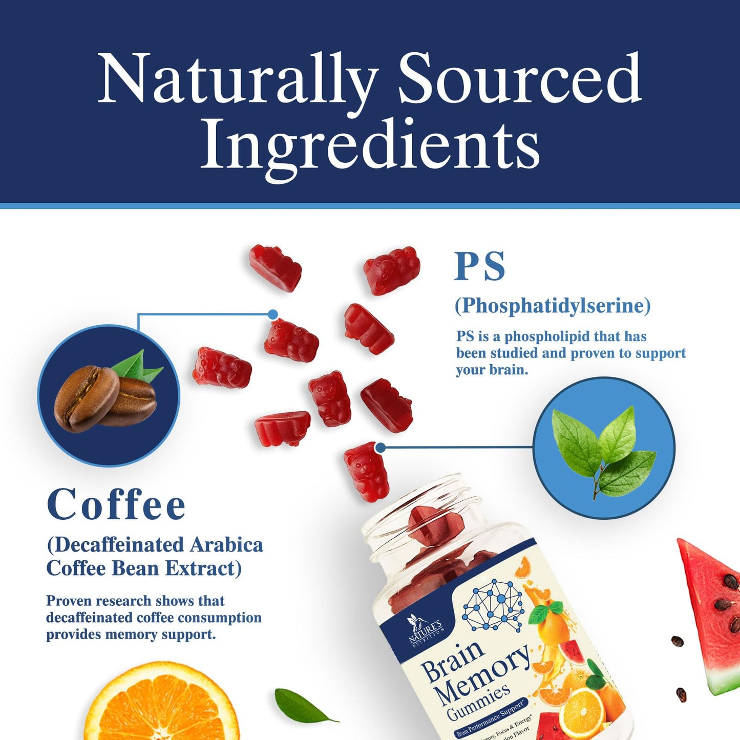 Brain Gummies for Memory & Focus – Phosphatidylserine, B6 & B12 (60 Gummies)
