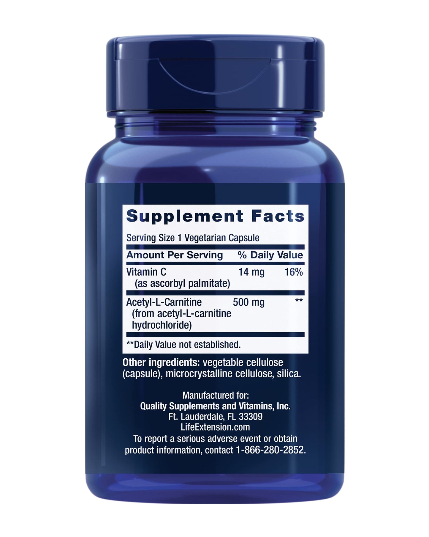 Acetyl-L-Carnitine with Vitamin C for Brain & Nerve Health | 3-Month Supply | Gluten-Free, Non-GMO, Vegetarian | 100 Capsules