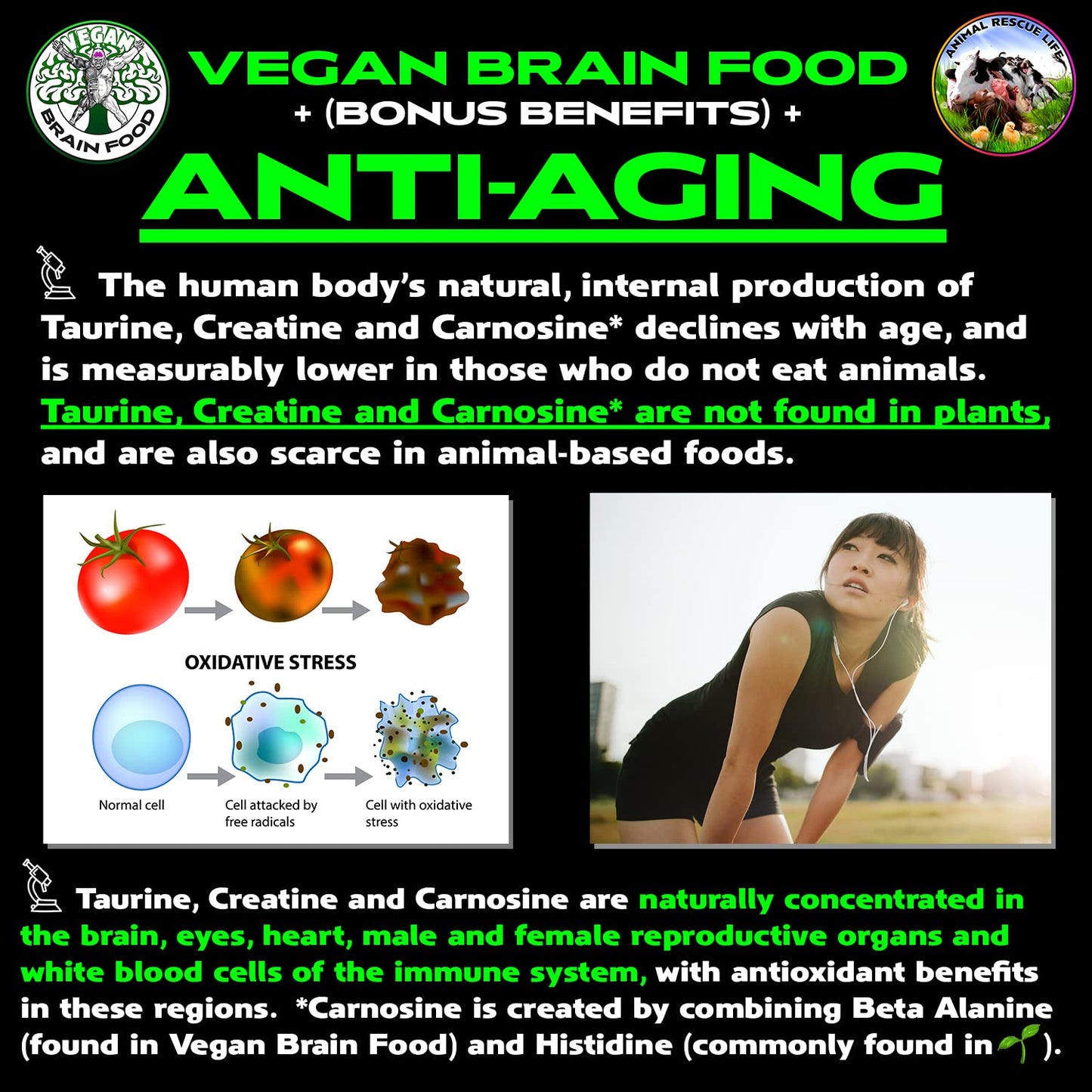 Vegan Brain & Body Boost: The Cherry On Top of a Plant-Based Lifestyle | Working Intelligence | Anti-Aging | Physical Fitness | Vegan Amino Acids - Creatine, Taurine & Beta Alanine | 40 Servings/300g