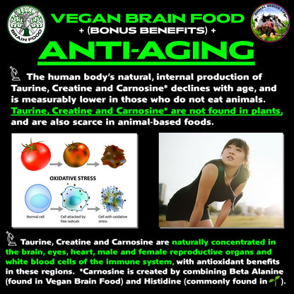 Vegan Brain & Body Boost: The Cherry On Top of a Plant-Based Lifestyle | Working Intelligence | Anti-Aging | Physical Fitness | Vegan Amino Acids - Creatine, Taurine & Beta Alanine | 40 Servings/300g