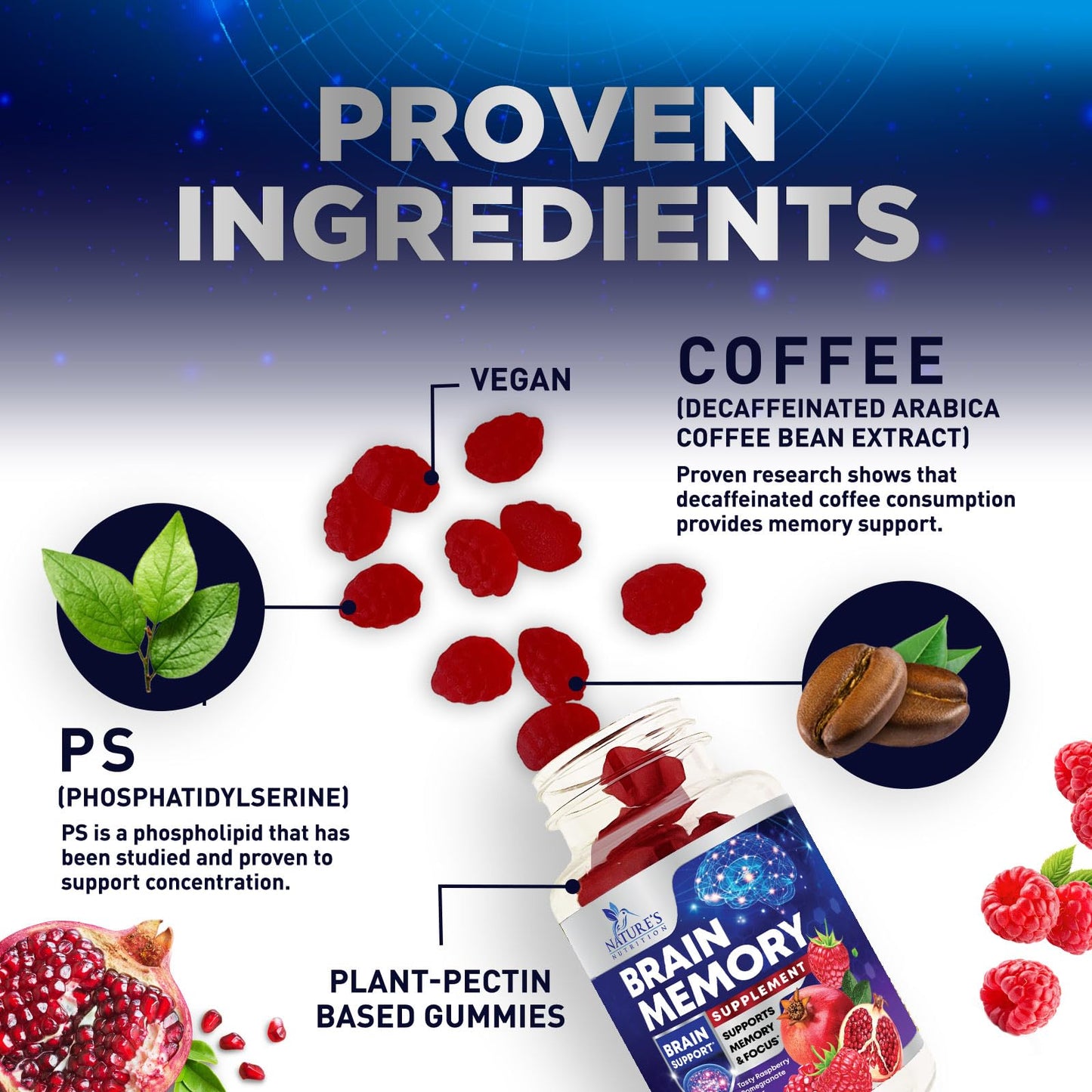 Brain Supplements for Memory & Focus Gummies - 60 Vegan Gummies | Nature's Nutrition