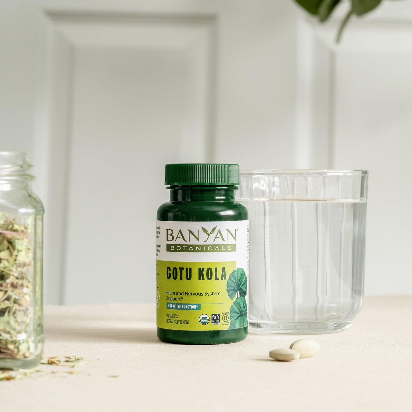 Banyan Botanicals Gotu Kola (Centella Asiatica) – Organic Adaptogen & Nootropic Brain Support | 90 Tablets | Vegan & Fairly Traded
