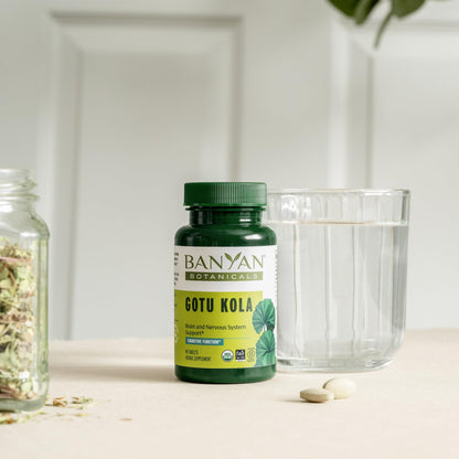 Banyan Botanicals Gotu Kola (Centella Asiatica) – Organic Adaptogen & Nootropic Brain Support | 90 Tablets | Vegan & Fairly Traded