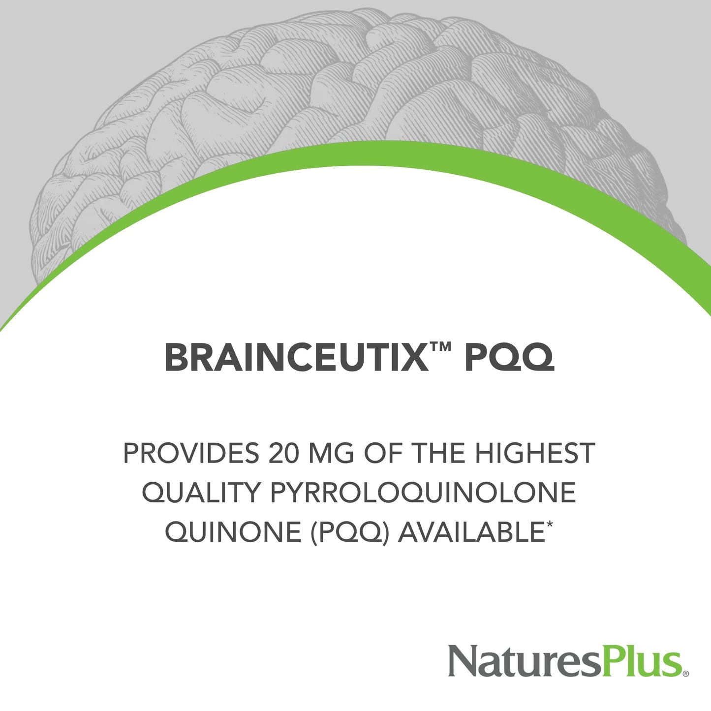 Natures Plus Brainceutix PQQ - 60 Vegan Capsules | Memory & Brain Power