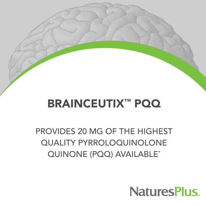 Natures Plus Brainceutix PQQ - 60 Vegan Capsules | Memory & Brain Power