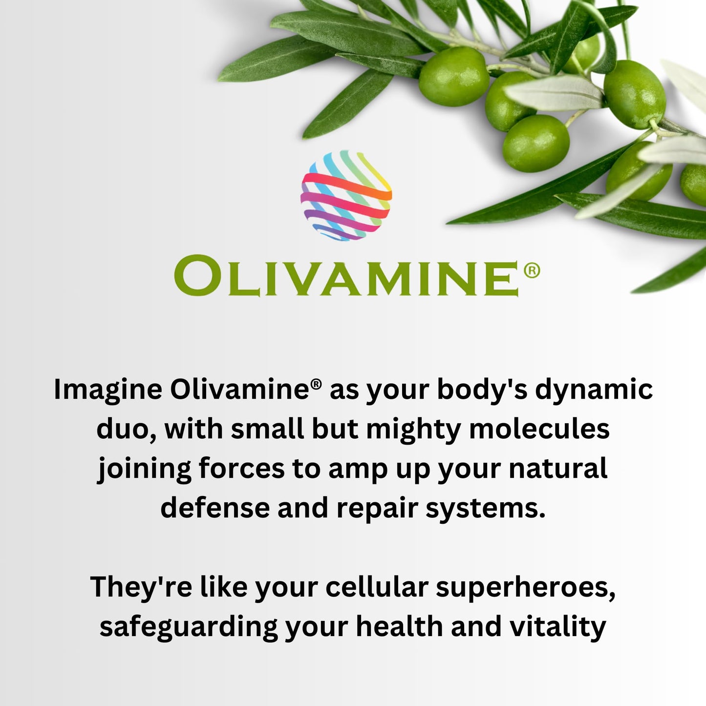 BrainHealth Brain Supplement – Boost Memory, Focus & Clarity (Olivamine, D3, B6, B12)