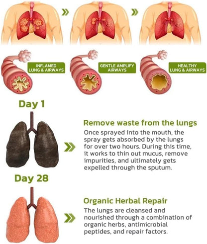 BreathDetox Herbal Lung Cleansing Spray - 3PCS | Natural Lung Support