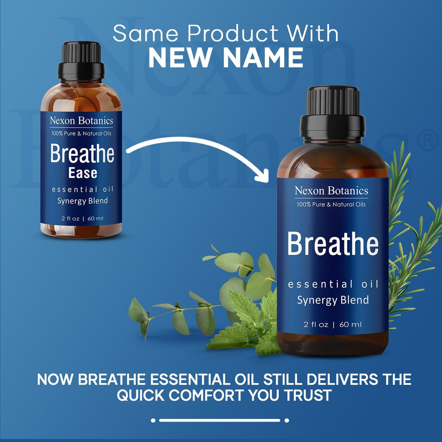 Breathe Essential Oil Blend 60 ml – Sinus Relief with Menthol | Nexon Botanics