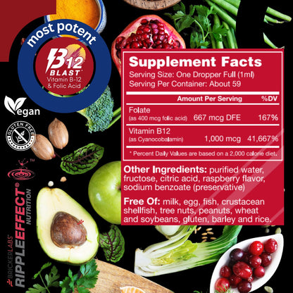 Bricker Labs B-12 Blast Liquid Vitamin B12 & Folic Acid – Energy Support, Raspberry Flavor, 2 fl oz