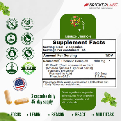 Bricker Labs Brain Aid Memory Matters – Nootropic Brain Supplement with Neumentix Spearmint Extract, 90 Capsules