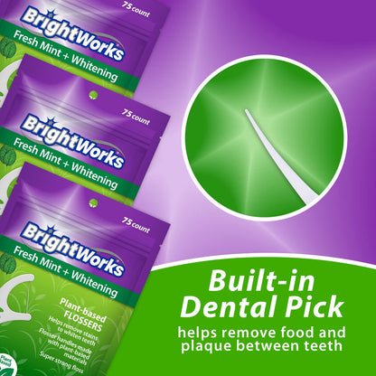 BrightWorks Mint Whitening Dental Flossers – 225 Pieces, 3-Pack
