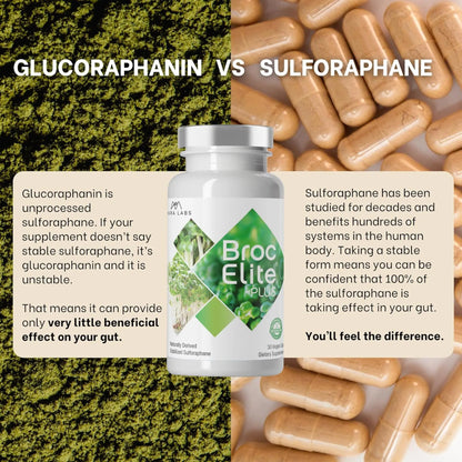 Broc Elite Plus by Mara Labs — Stabilized Sulforaphane Broccoli, Zero Glyphosate, 30 Veg Capsules BritishVita | Premium UK Vitamins & Wellness Supplements