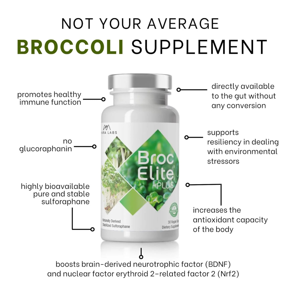 Broc Elite Plus by Mara Labs — Stabilized Sulforaphane Broccoli, Zero Glyphosate, 30 Veg Capsules BritishVita | Premium UK Vitamins & Wellness Supplements