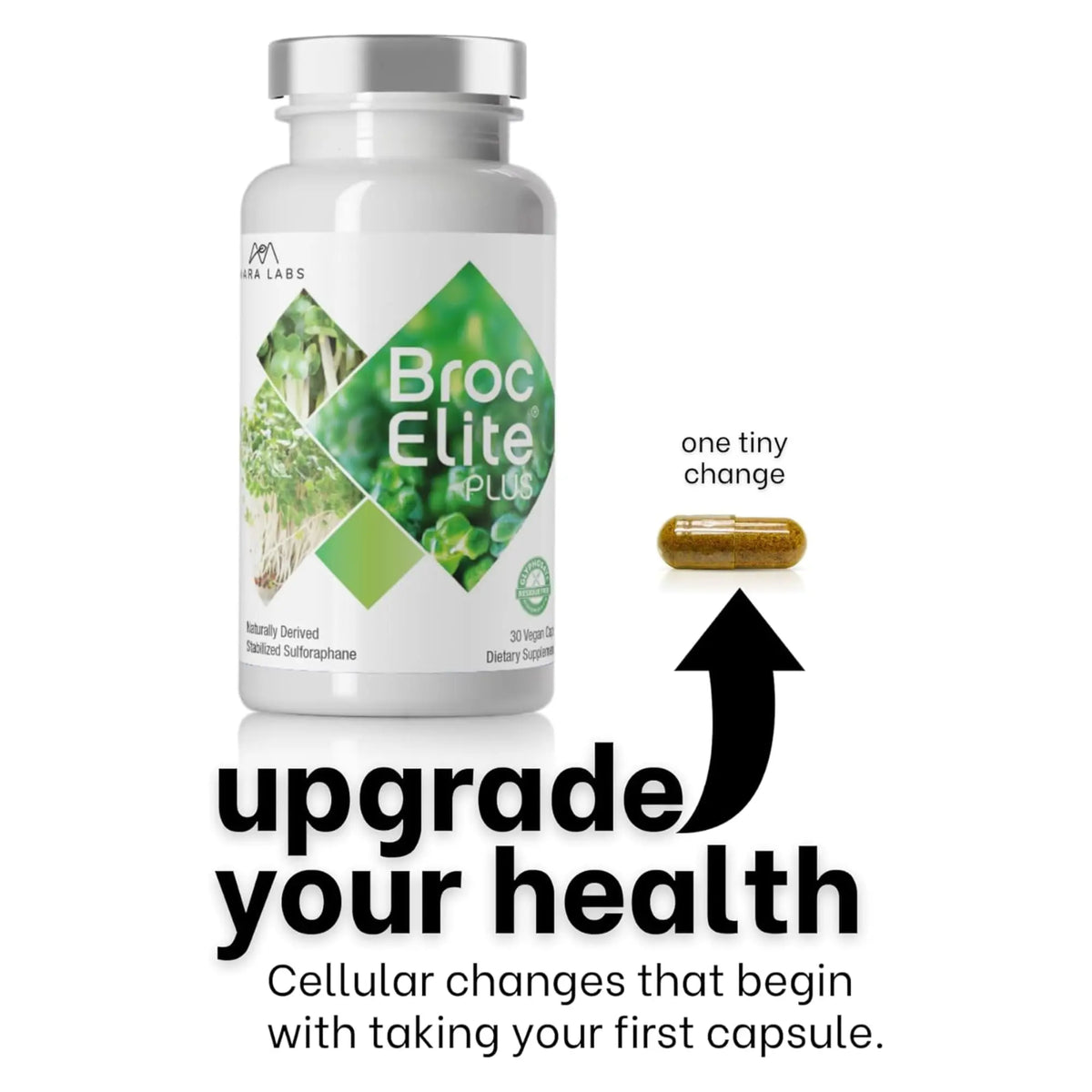Broc Elite Plus by Mara Labs — Stabilized Sulforaphane Broccoli, Zero Glyphosate, 30 Veg Capsules BritishVita | Premium UK Vitamins & Wellness Supplements