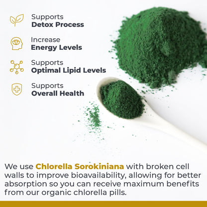 Premier Research Labs Medi Chlorella-FX – Chlorella & Chlorophyll Capsules (120 Vegetarian Capsules)