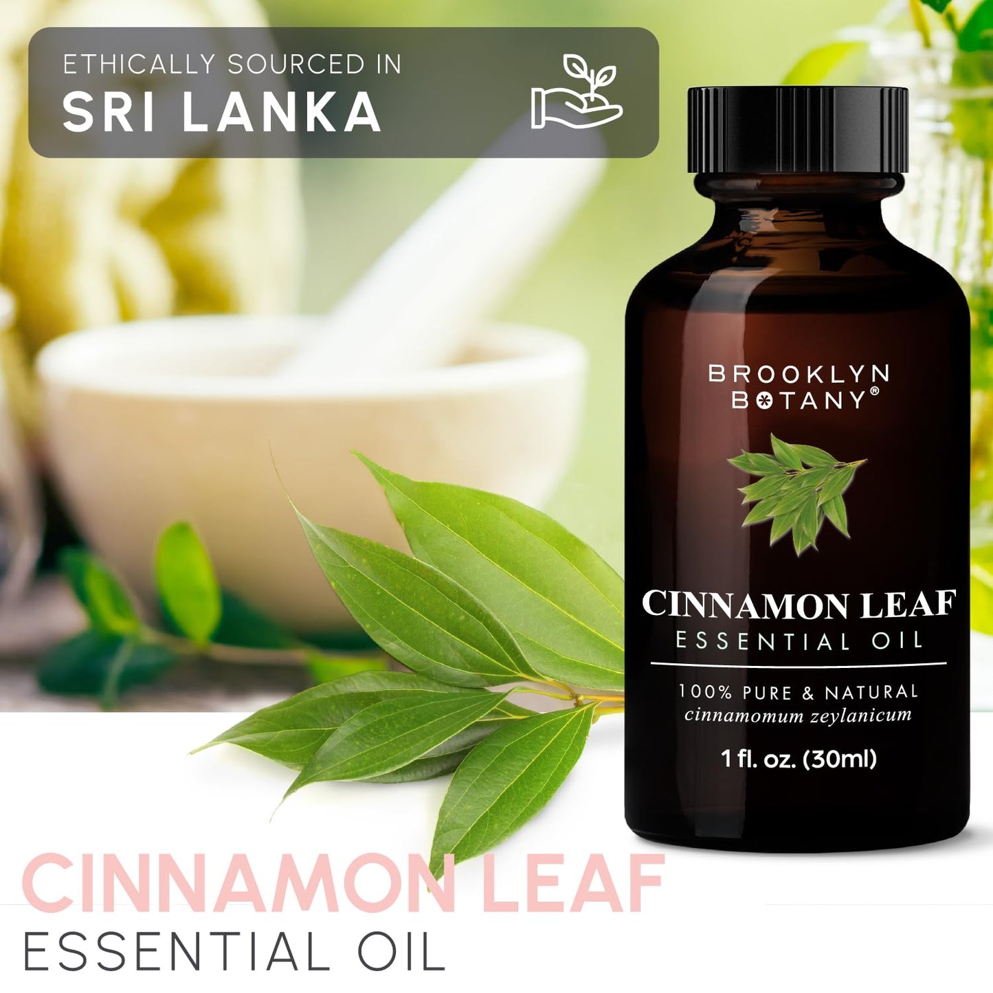 Brooklyn Botany Cinnamon Leaf Essential Oil – 100% Pure & Natural, Premium Grade, 1 Fl Oz