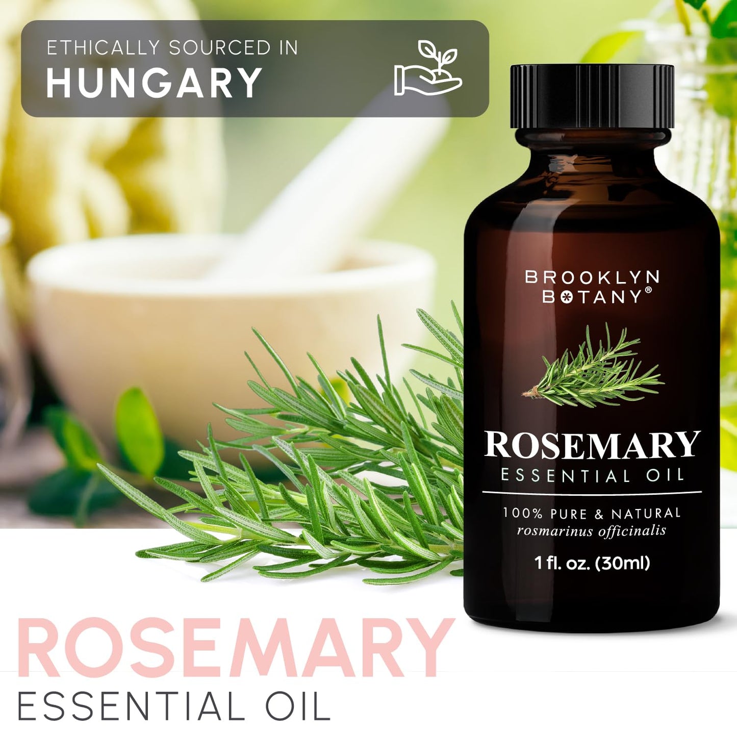 Brooklyn Botany Rosemary Essential Oil - 100% Pure, Premium Grade, 1 Fl Oz