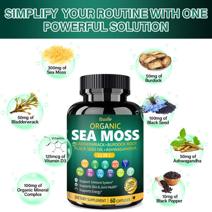 Bualle Organic Sea Moss Capsules with Black Seed Oil & Ashwagandha – 60 Capsules