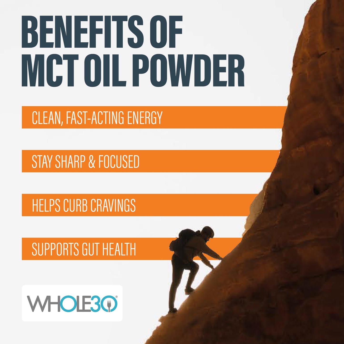 BUBS Naturals MCT Oil Powder Packets | Keto, Vegan & Paleo Friendly | 14 Travel Packets