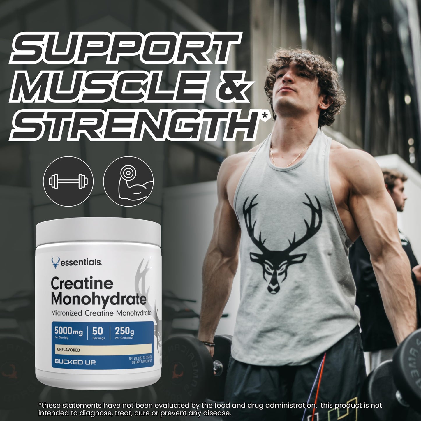 Bucked Up Pure Micronized Creatine Monohydrate – Unflavored, 5g per Serving, 50 Servings (250g)