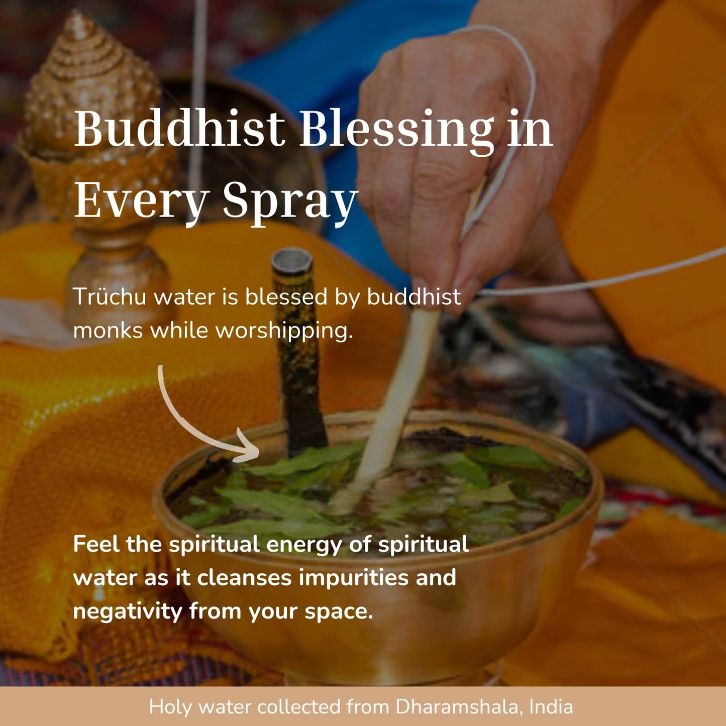 Buddha White Sage Spray Protection - Smudge Spray with Water Blessed by Buddhist Monks (1200+ Sprays) | Sage Spray for Cleansing Negative Energy and Protection | Salvia Blanca para Limpiar (5.6 OZ)