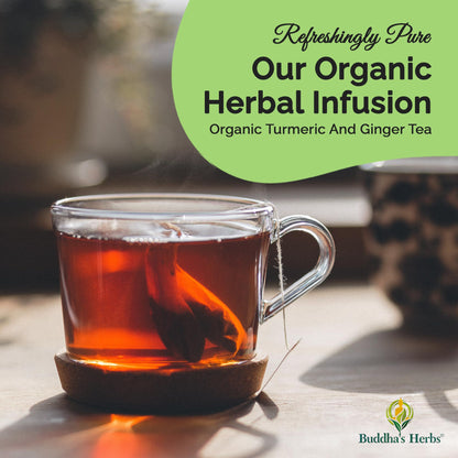Buddha's Herbs Echinacea Tea – Immune Support with Zinc, Turmeric & Ginger (2 Pack)