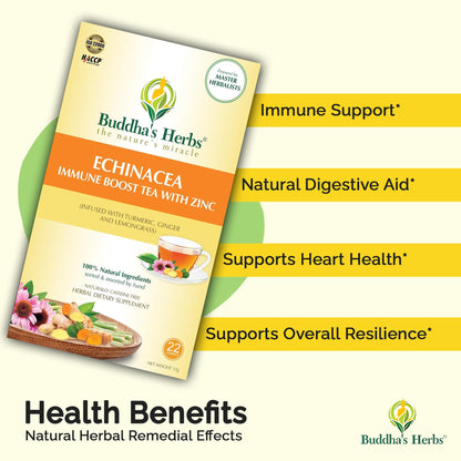 Buddha's Herbs Echinacea Tea – Immune Support with Zinc, Turmeric & Ginger (2 Pack)