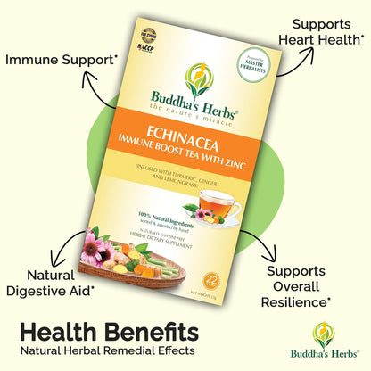 Buddha's Herbs Echinacea Tea – Immune Support with Zinc, Turmeric & Ginger (2 Pack)