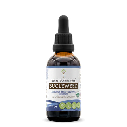 Bugleweed USDA Organic Alcohol-Free Extract - High-Potency Herbal Drops (2 fl oz)