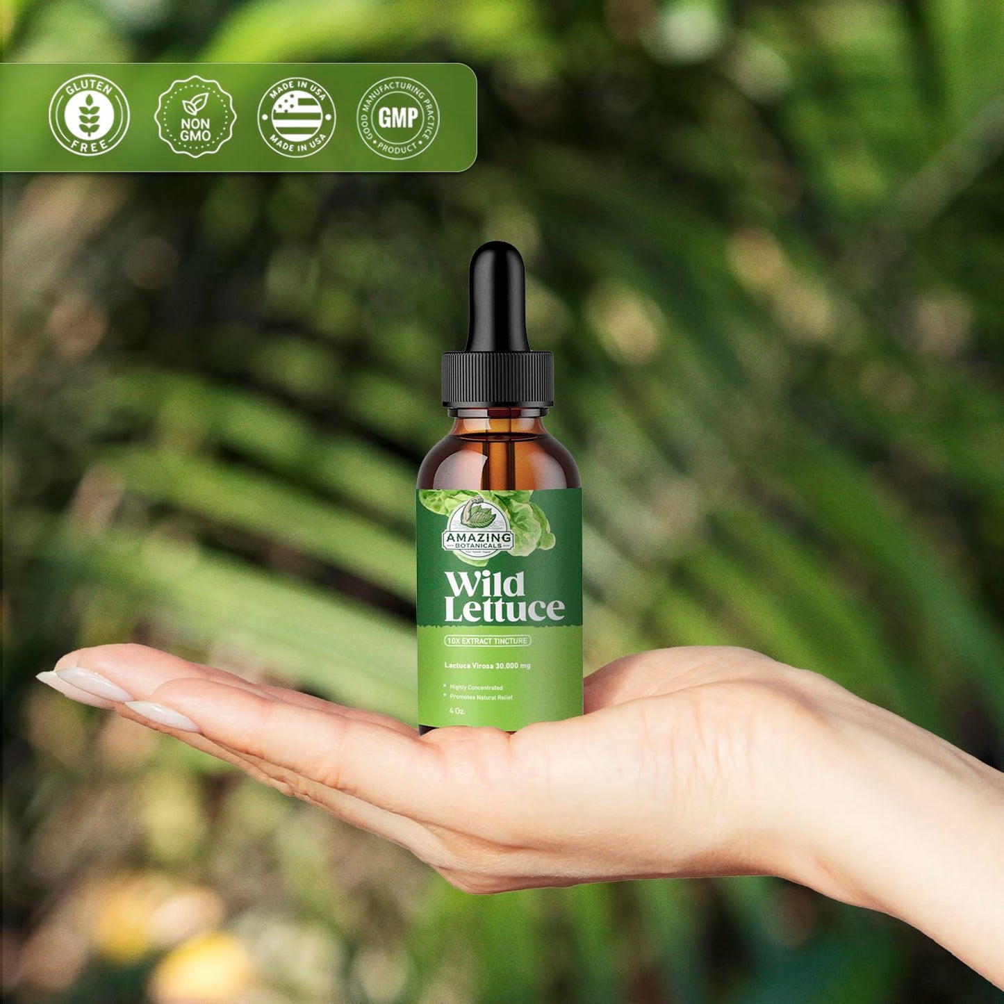 Amazing Botanicals Alcohol-Free Wild Lettuce Tincture 30,000 mg | 4 oz Bulk