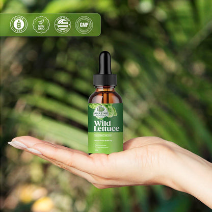 Amazing Botanicals Alcohol-Free Wild Lettuce Tincture 30,000 mg | 4 oz Bulk