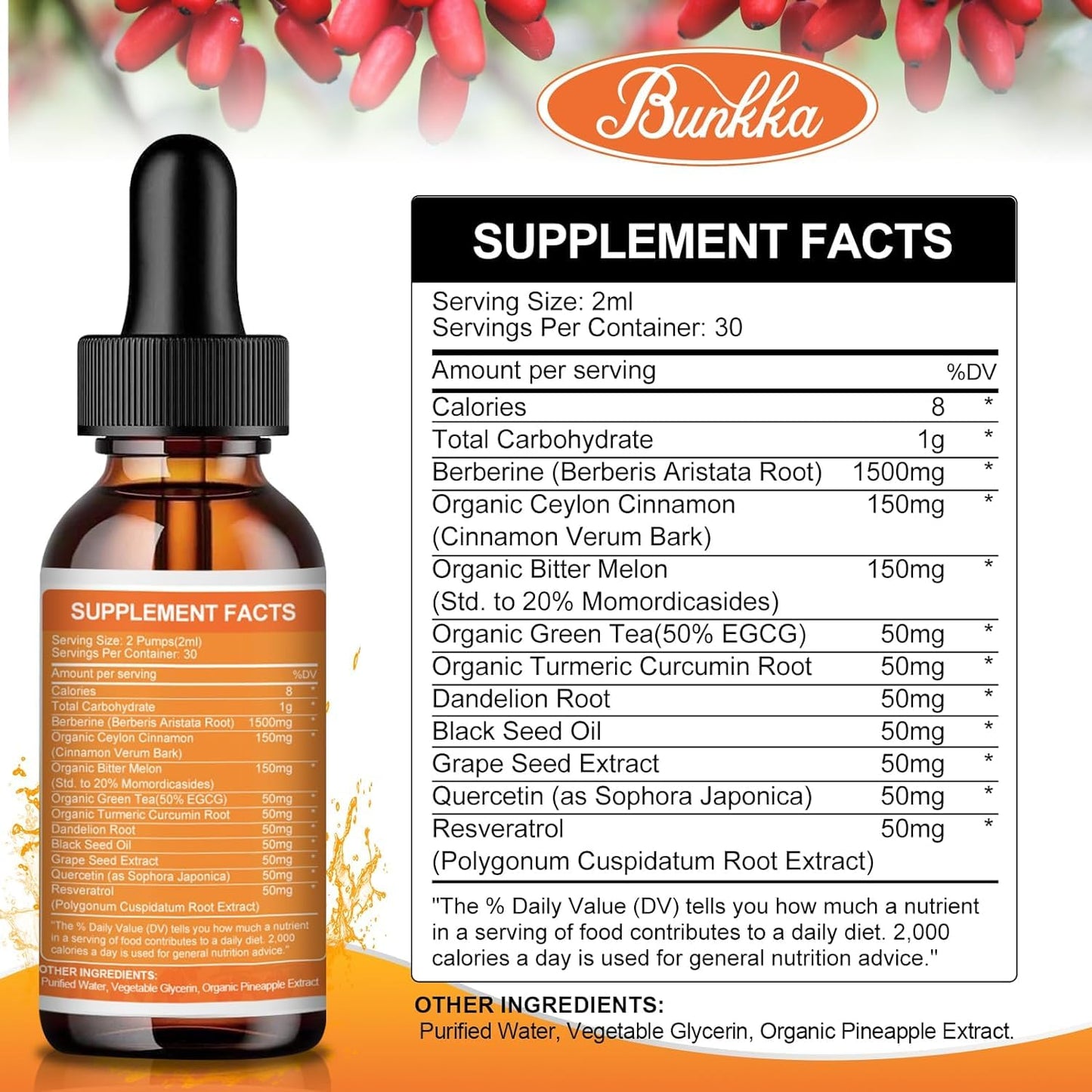 Bunkka Berberine Liquid Drops (2 Pack) – Sugar-Free, Vegan, 4 fl oz | Immune & Digestive Support