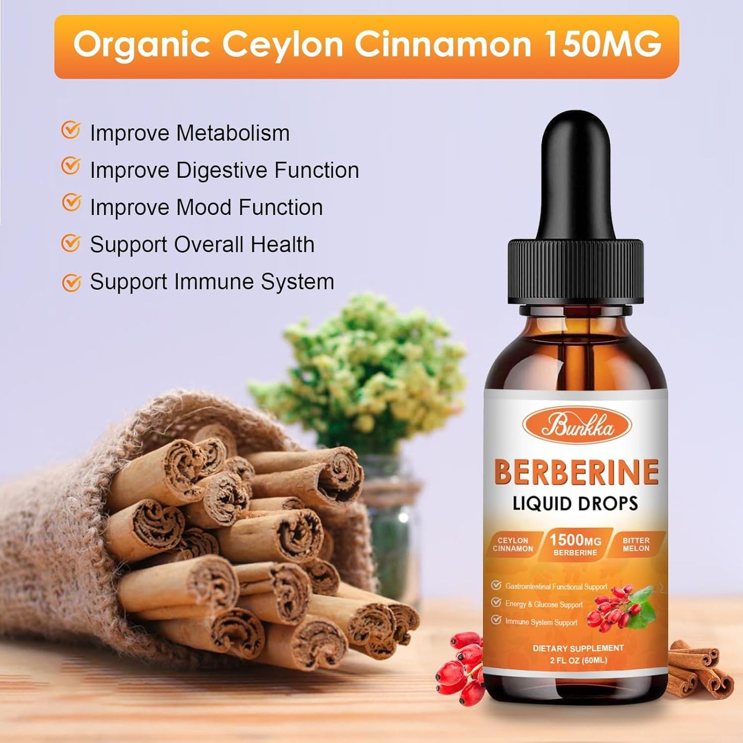 Bunkka Berberine Liquid Drops (2 Pack) – Sugar-Free, Vegan, 4 fl oz | Immune & Digestive Support