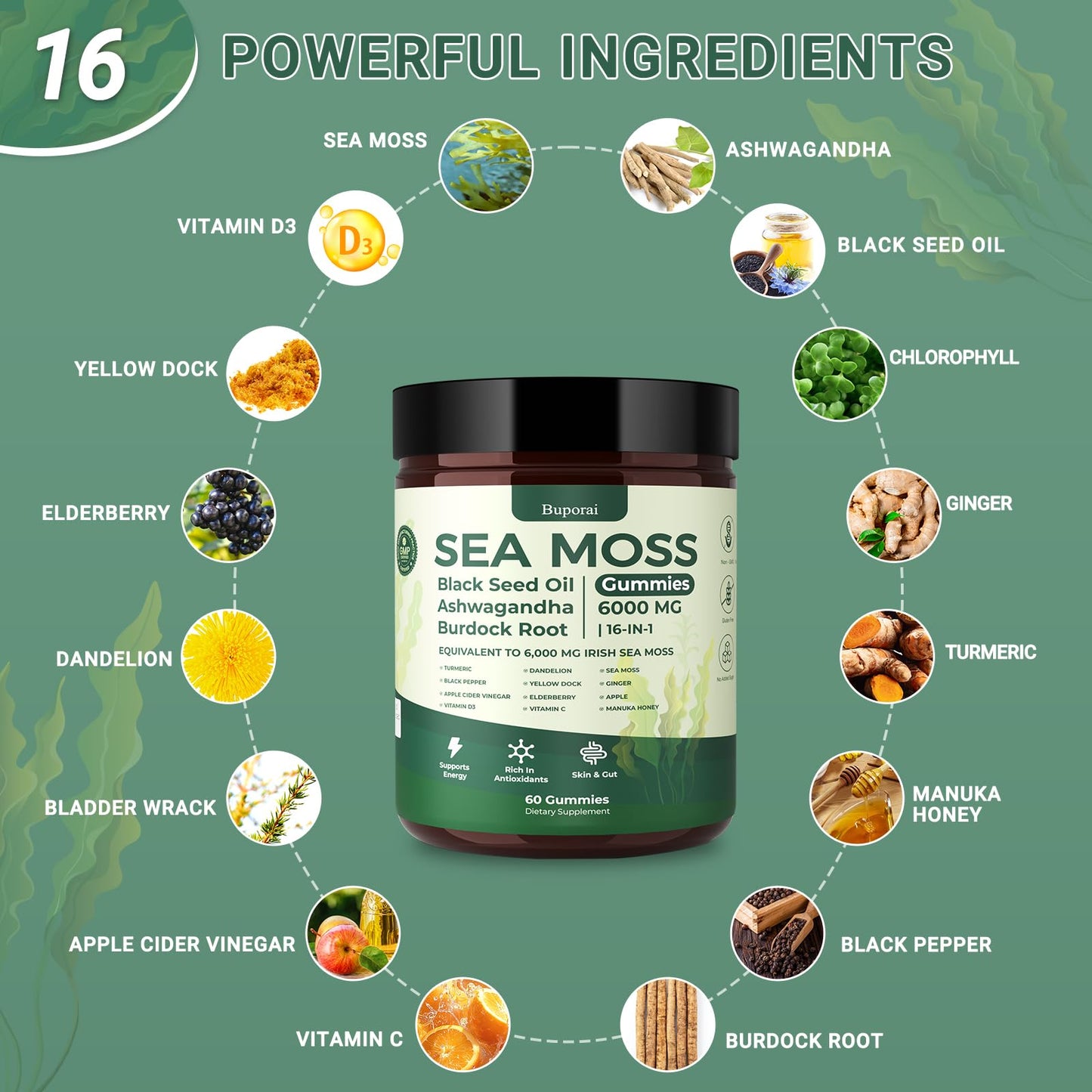 Buporai Sea Moss Gummies 16-In-1 – Bladderwrack, Ashwagandha & Turmeric | Immune Support, 60 Gummies