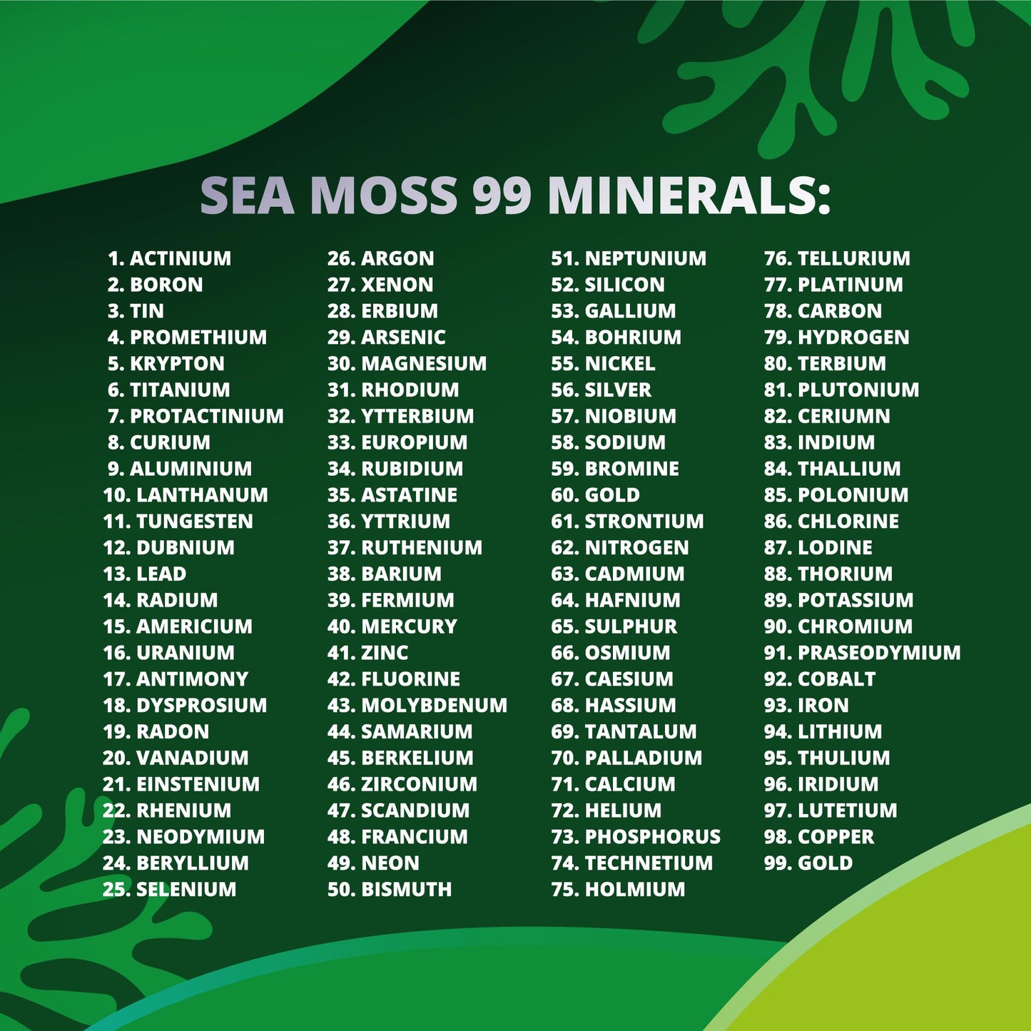 Sea Moss All-in-One Capsules with Black Seed, Turmeric & Ashwagandha