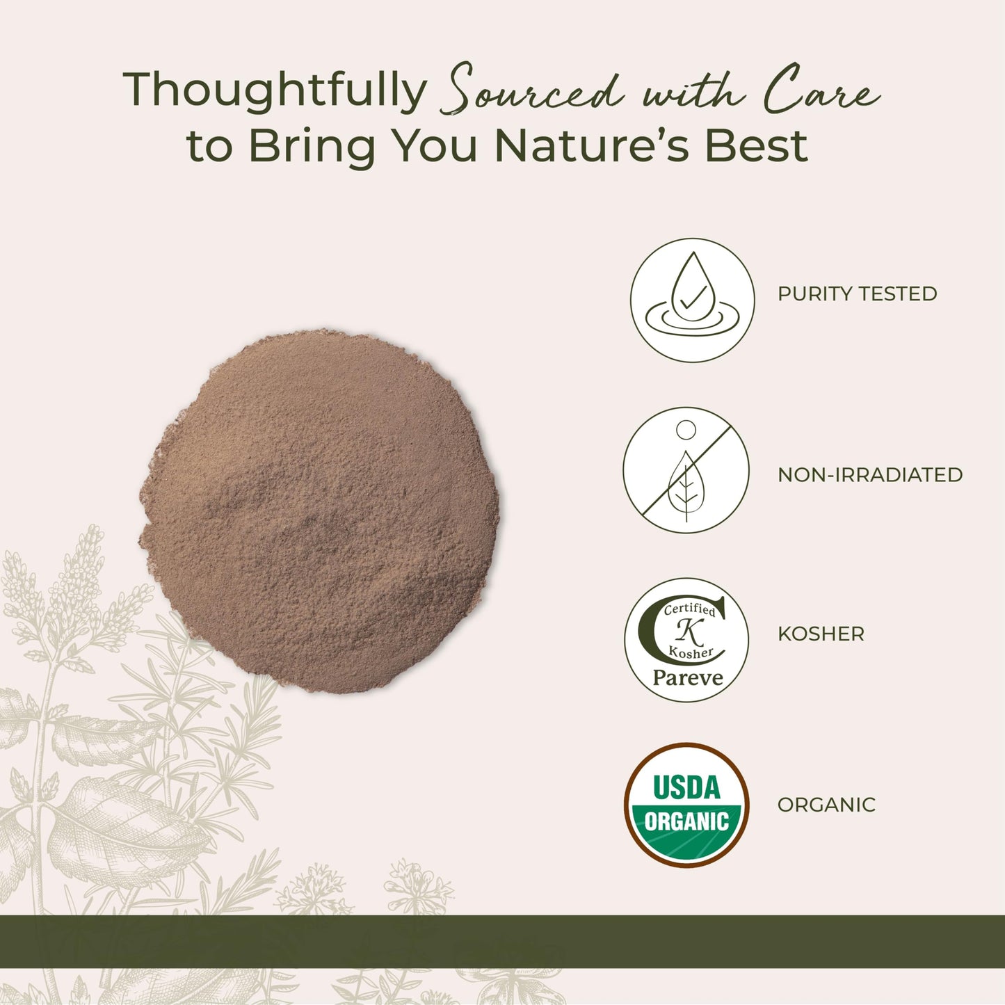 Starwest Botanicals Burdock Root Powder Organic - Non-GMO, Kosher, Antioxidant-Rich, 1 lb Bulk