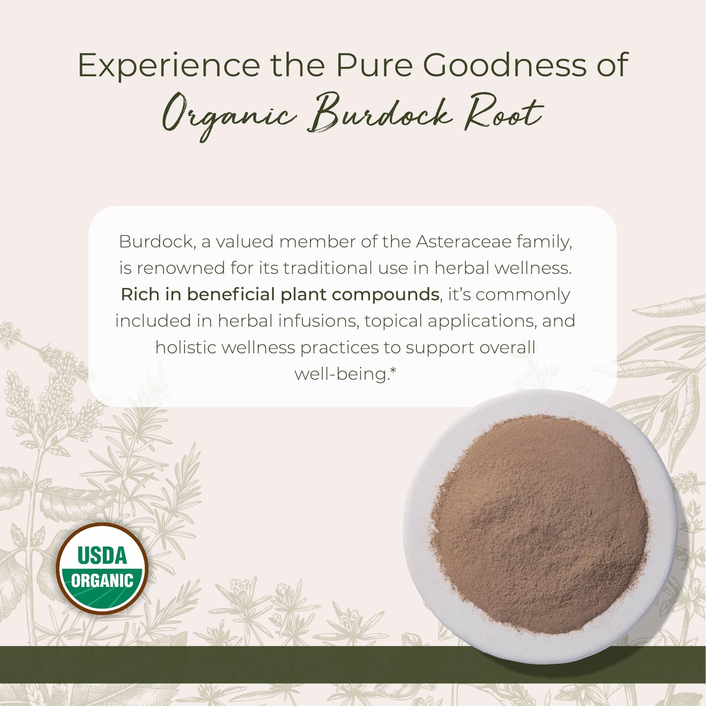 Starwest Botanicals Burdock Root Powder Organic - Non-GMO, Kosher, Antioxidant-Rich, 1 lb Bulk
