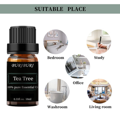 BURIBURI Tea Tree, Eucalyptus & Vanilla Essential Oil Set – 3x10ml, 100% Pure