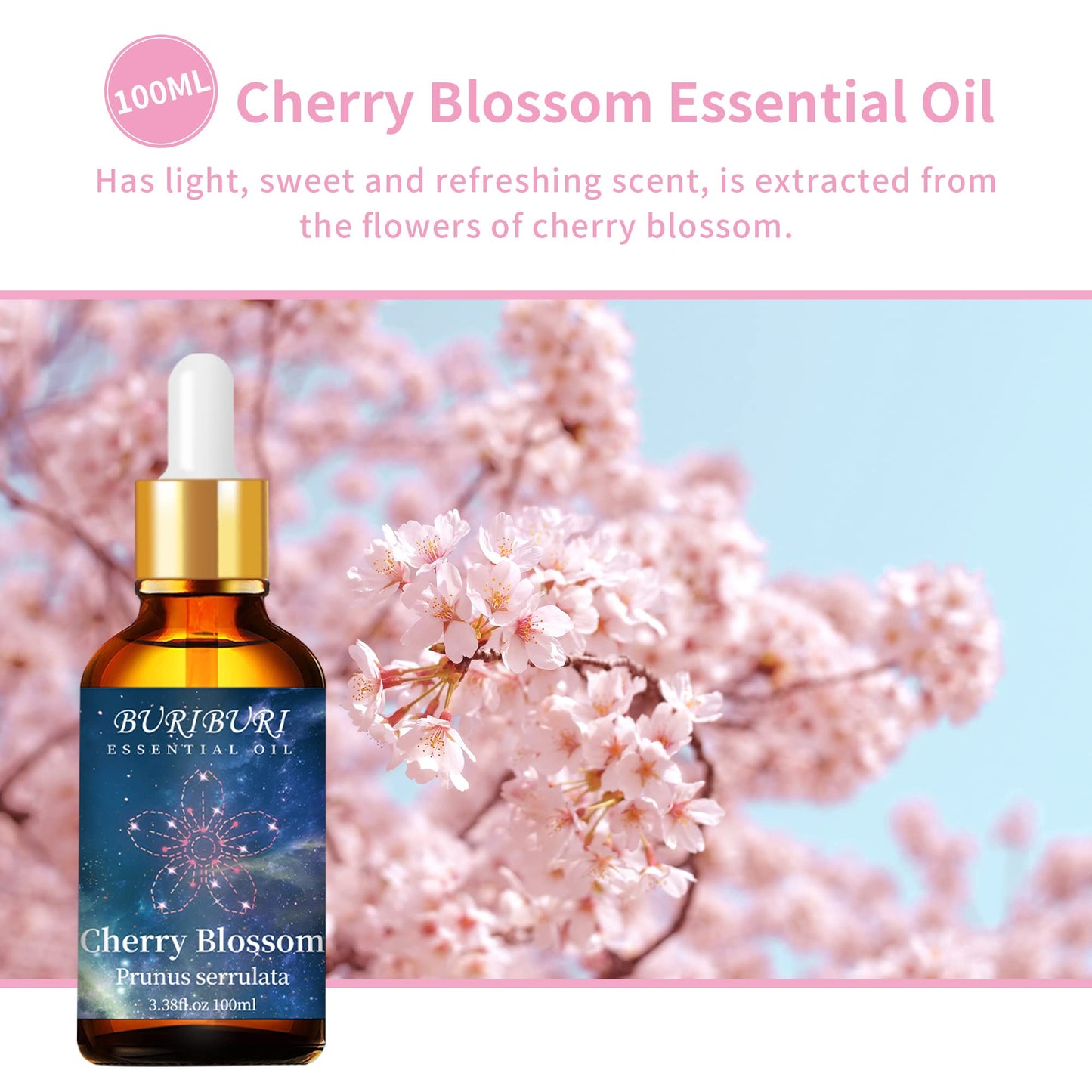 BURIBURI Cherry Blossom Essential Oil for Aromatherapy Diffuser and Skin | 100% Pure Cherry Blossom Oil 100ml