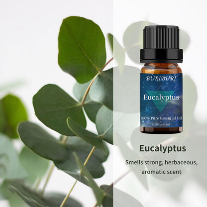 BURIBURI Eucalyptus & Lavender Essential Oil Set 2 Pack – 100% Pure