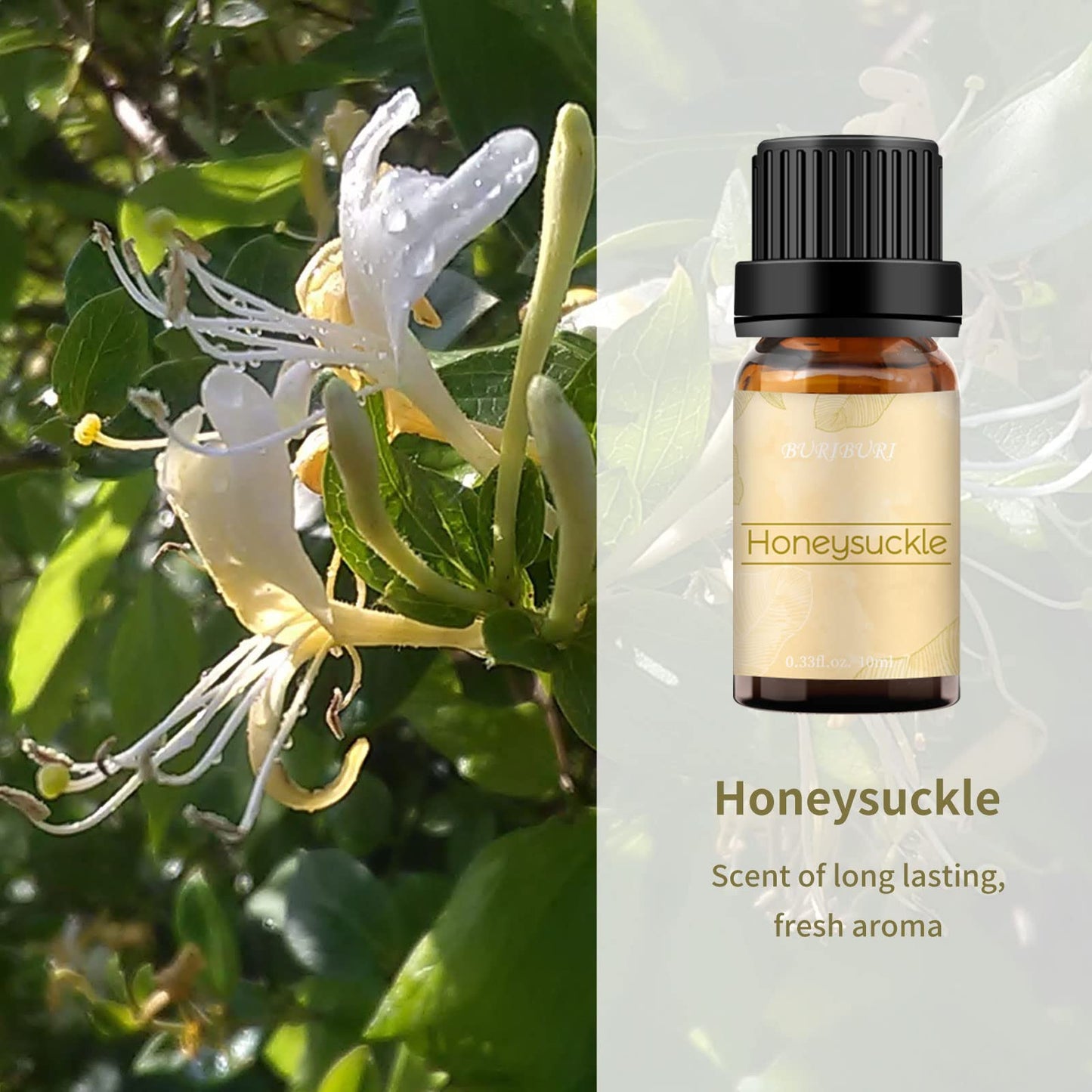 BURIBURI Honeysuckle & Jasmine Essential Oil Set – 2 Pack, 100% Pure Diffuser Oils