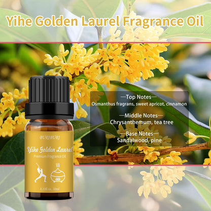 BURIBURI Hotel Scent Essential Oil – Yihe Golden Laurel | Luxury Hotel Fragrance & Diffuser Oil