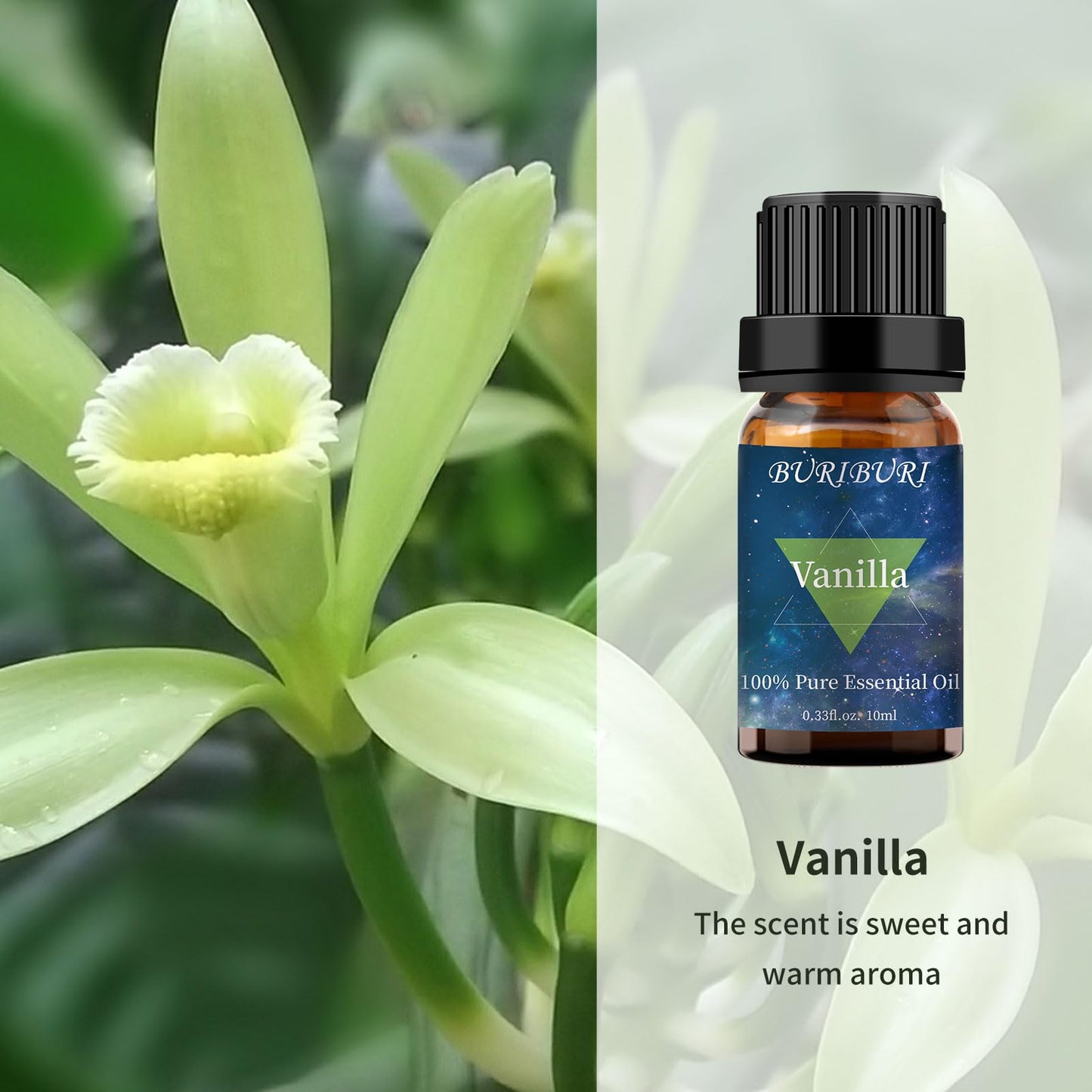 BURIBURI Lavender & Vanilla Essential Oil Set – 100% Pure & Undiluted (10ml each) Gift