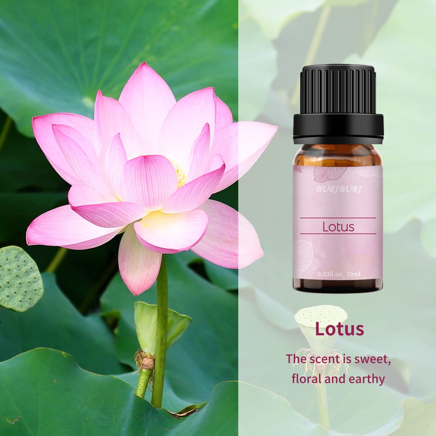 BURIBURI Lotus & Peony Essential Oils Gift Set 2-Pack – 100% Pure | Diffuser, Soap Making
